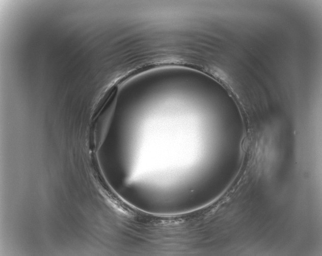 X0000066000345200603101536