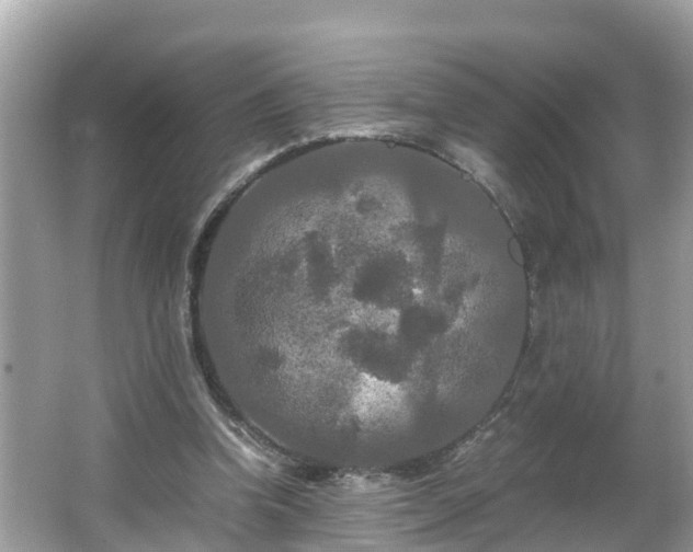 X0000066000346200603101536