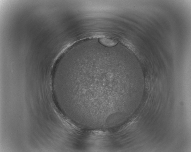 X0000066000347200603101536