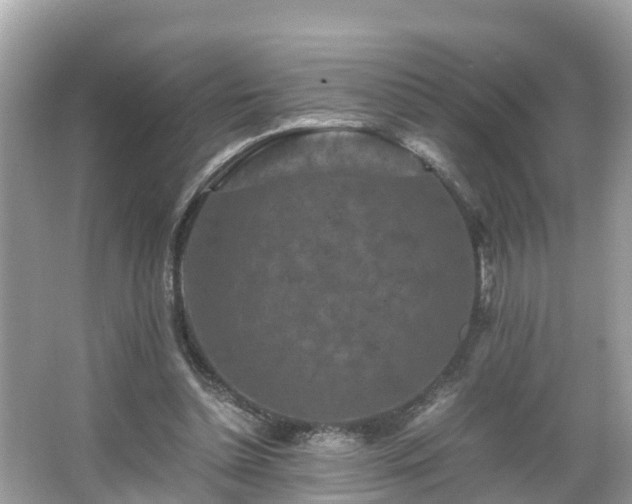 X0000066000348200603101536