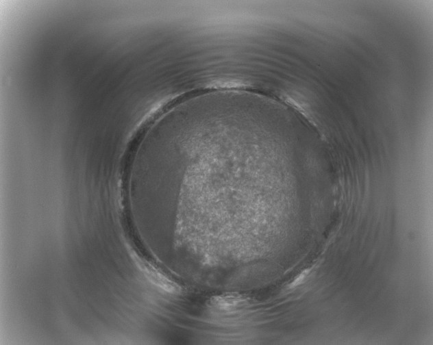 X0000066000351200603101536