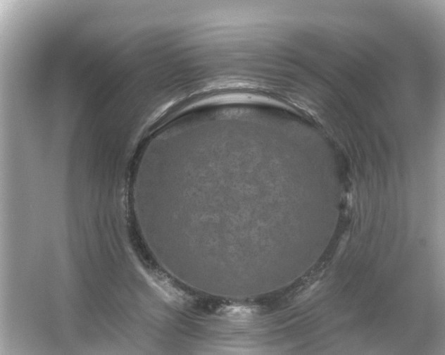 X0000066000352200603101536