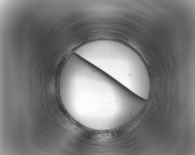 X0000066000353200603101536