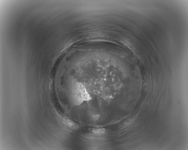 X0000066000355200603101536