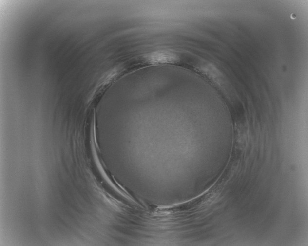 X0000066000357200603101536