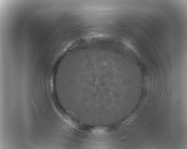 X0000066000358200603101537