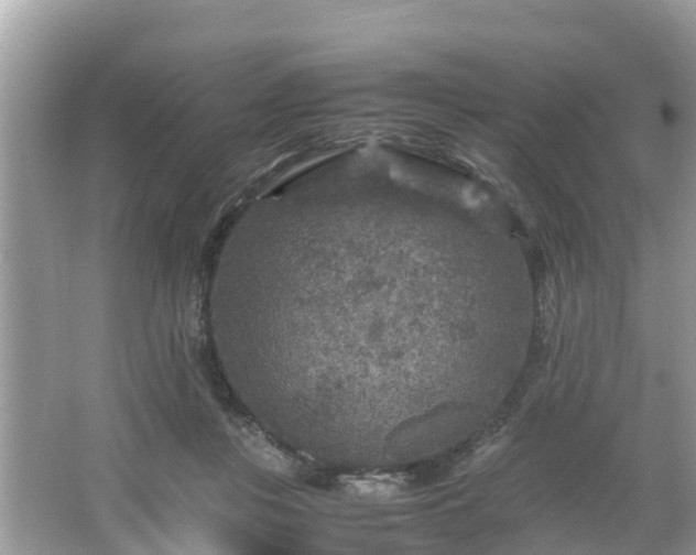 X0000066000359200603101537