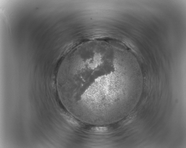 X0000066000361200603101537