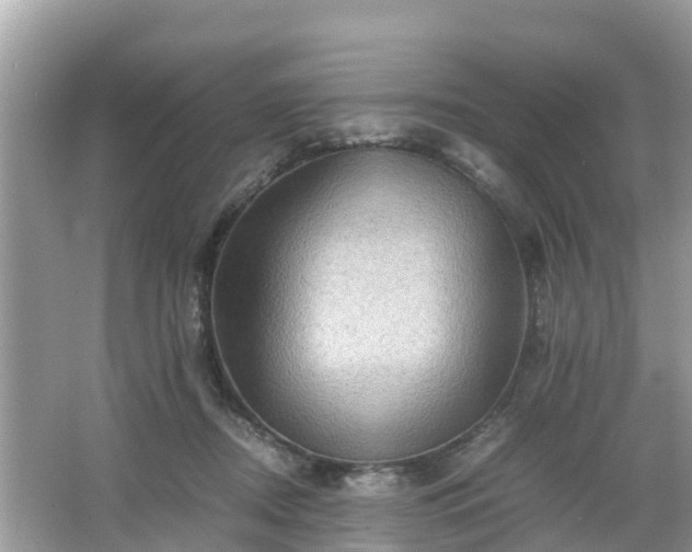 X0000066000362200603101537