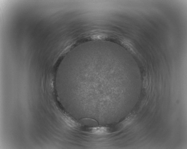 X0000066000363200603101537