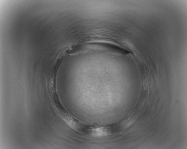 X0000066000365200603101537