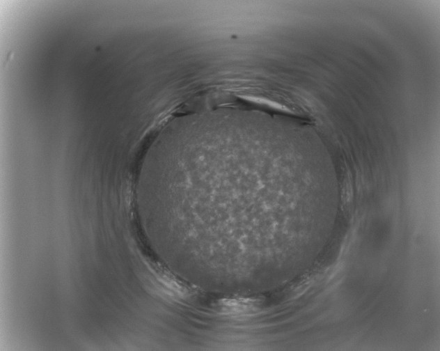 X0000066000367200603101537