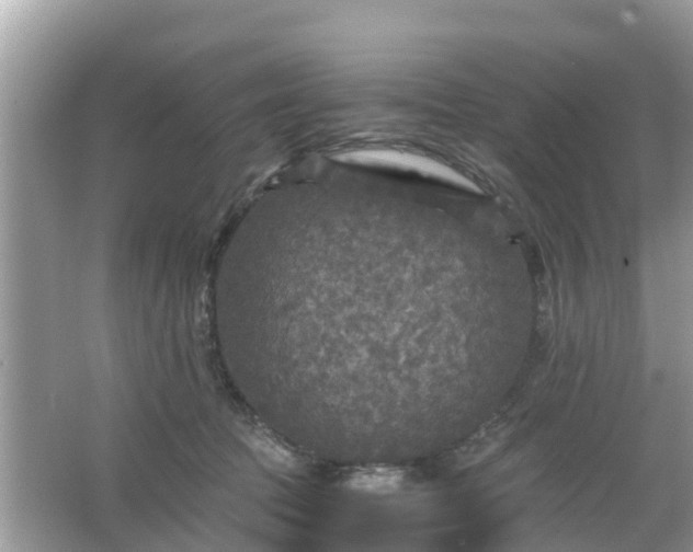 X0000066000369200603101537