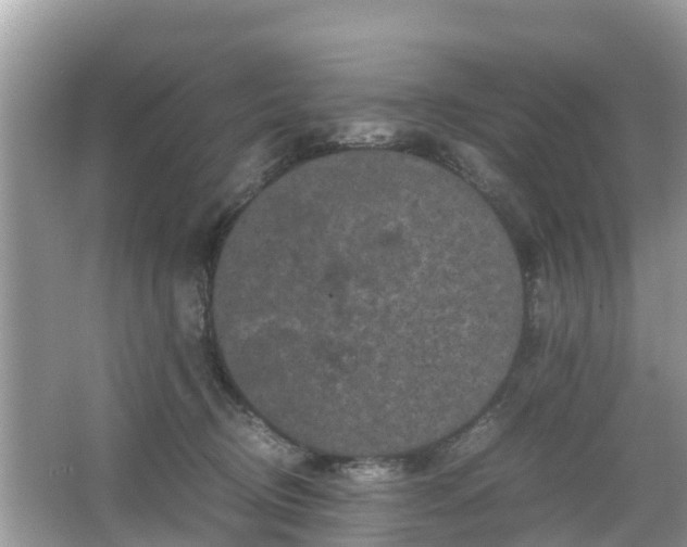 X0000066000370200603101537