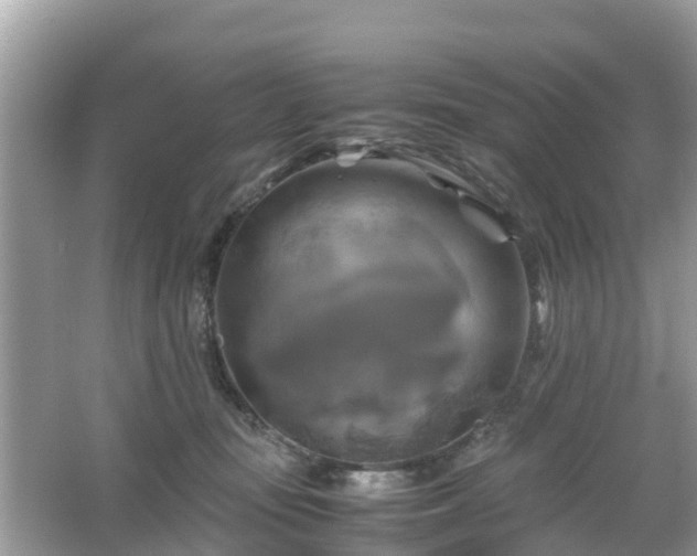 X0000066000371200603101537