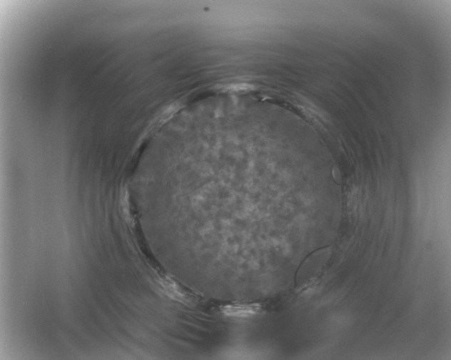 X0000066000373200603101537