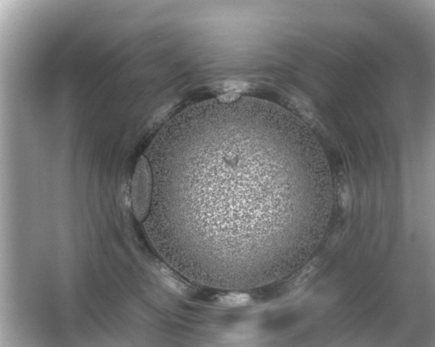 X0000066000374200603101537