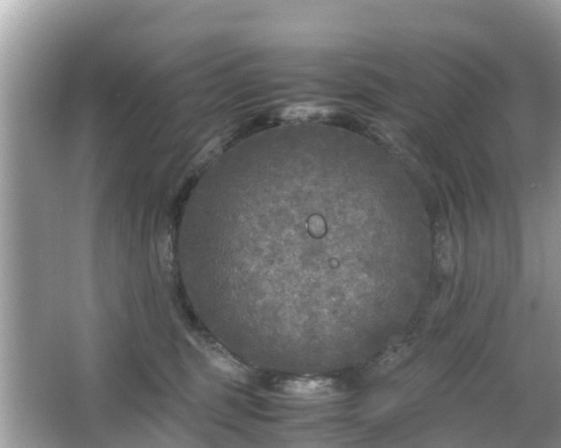 X0000066000375200603101537