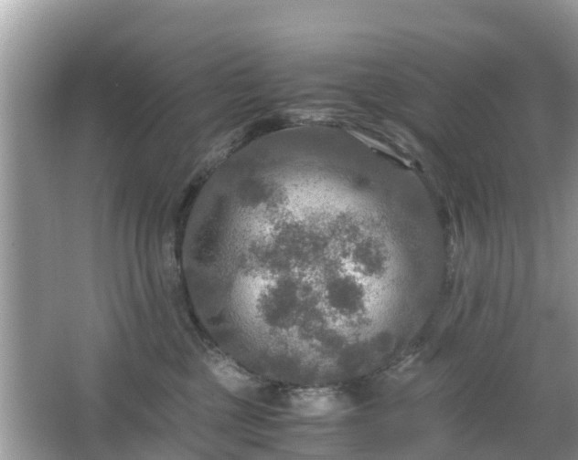 X0000066000377200603101537