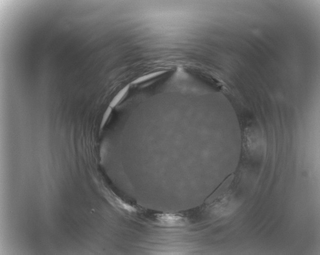 X0000066000380200603101537