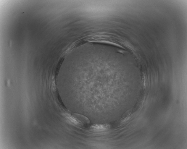 X0000066000381200603101537