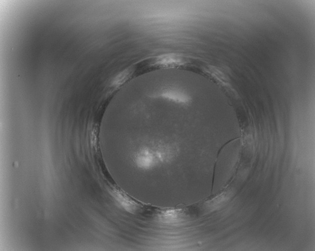 X0000066000382200603101537