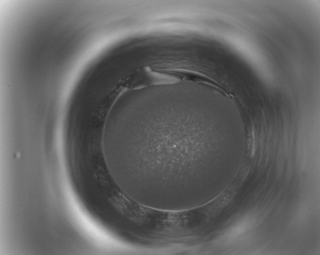 X0000066000383200603101537