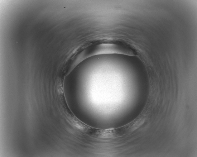 X0000066000384200603101537