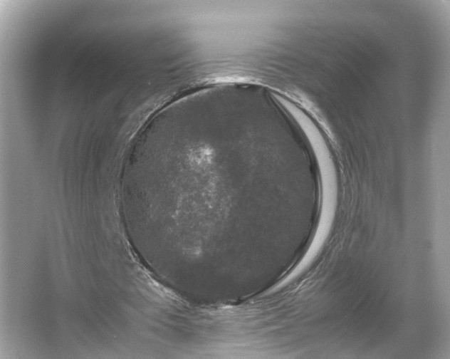 X0000066000385200603101536