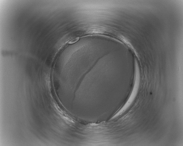 X0000066000386200603101536