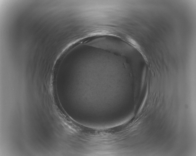 X0000066000387200603101536