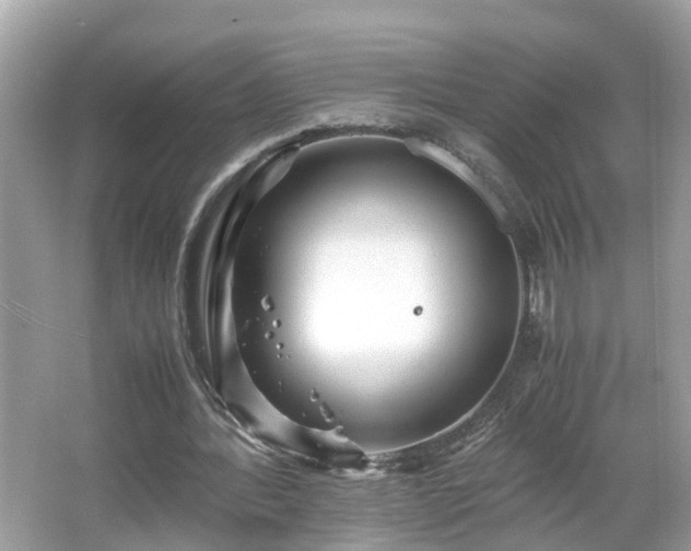 X0000066000388200603101536