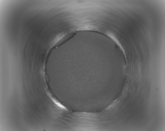 X0000066000389200603101536