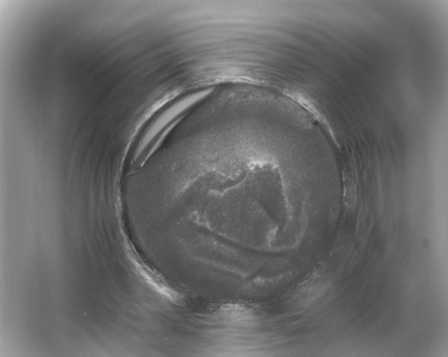 X0000066000390200603101536