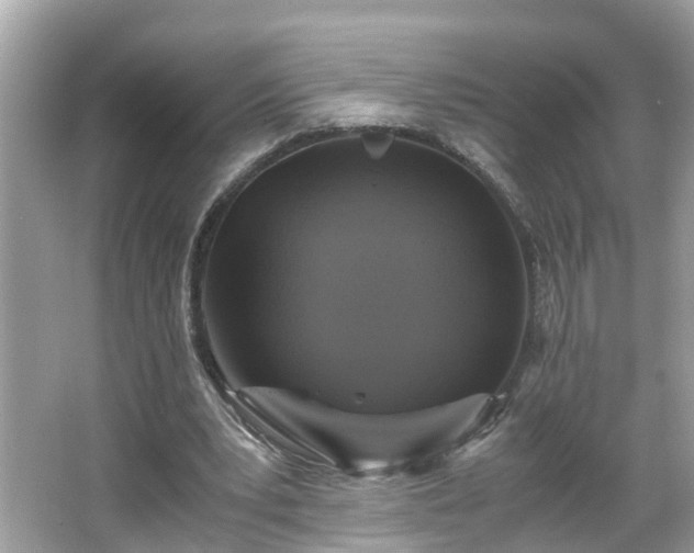 X0000066000391200603101536