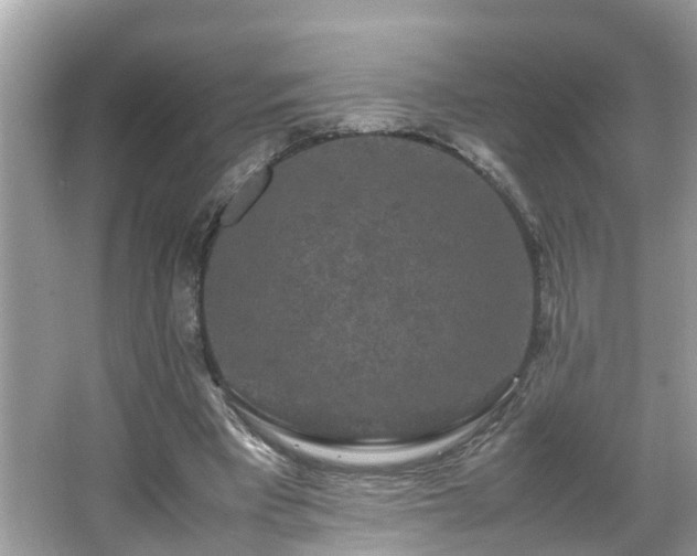 X0000066000393200603101536