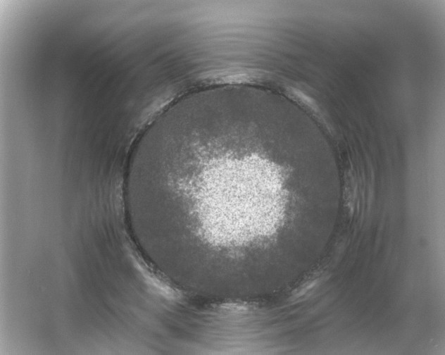 X0000066000394200603101536