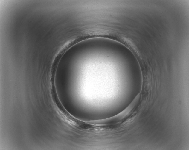 X0000066000395200603101536