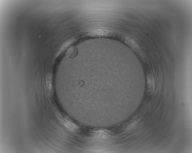 X0000066000396200603101536