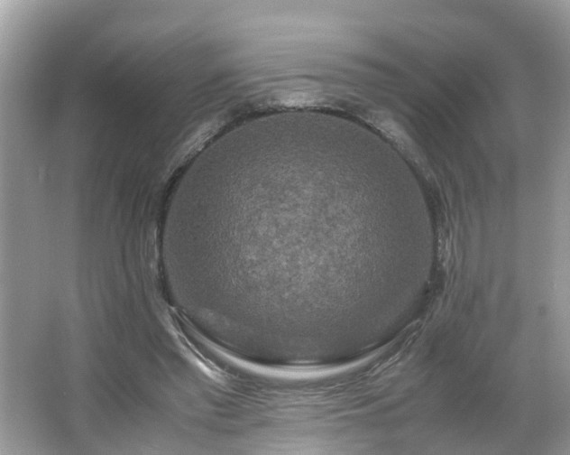 X0000066000397200603101536