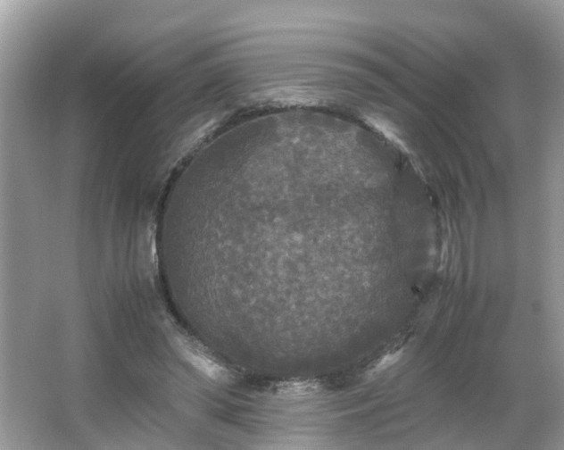 X0000066000398200603101536