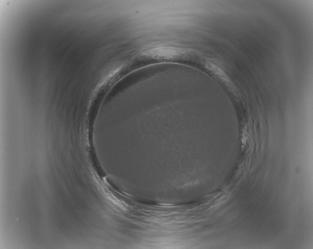 X0000066000399200603101536