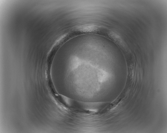 X0000066000400200603101536