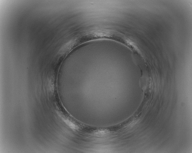 X0000066000402200603101536