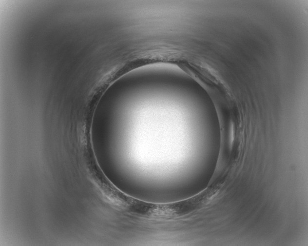 X0000066000403200603101536