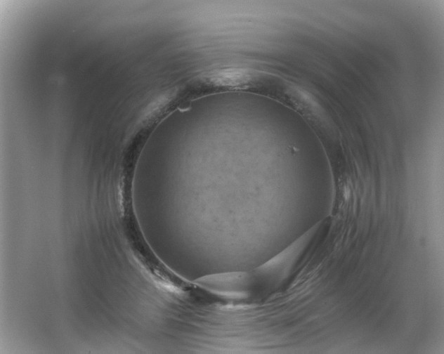 X0000066000404200603101536