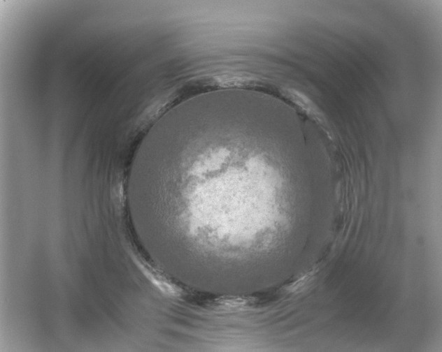 X0000066000405200603101536