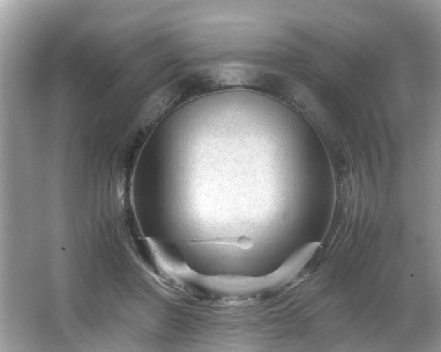 X0000066000406200603101536