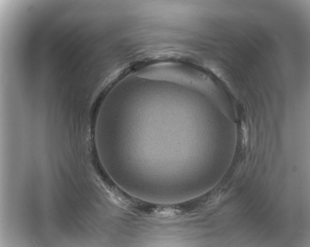 X0000066000407200603101536