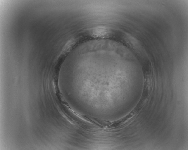 X0000066000408200603101536